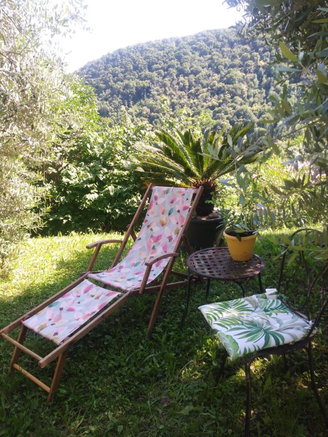 Poggio Del Sole Bed and Breakfast Bassano del Grappa Eksteriør billede